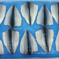 Aletas de caballa congeladas Tamaño OEM 150-200 200-300G
